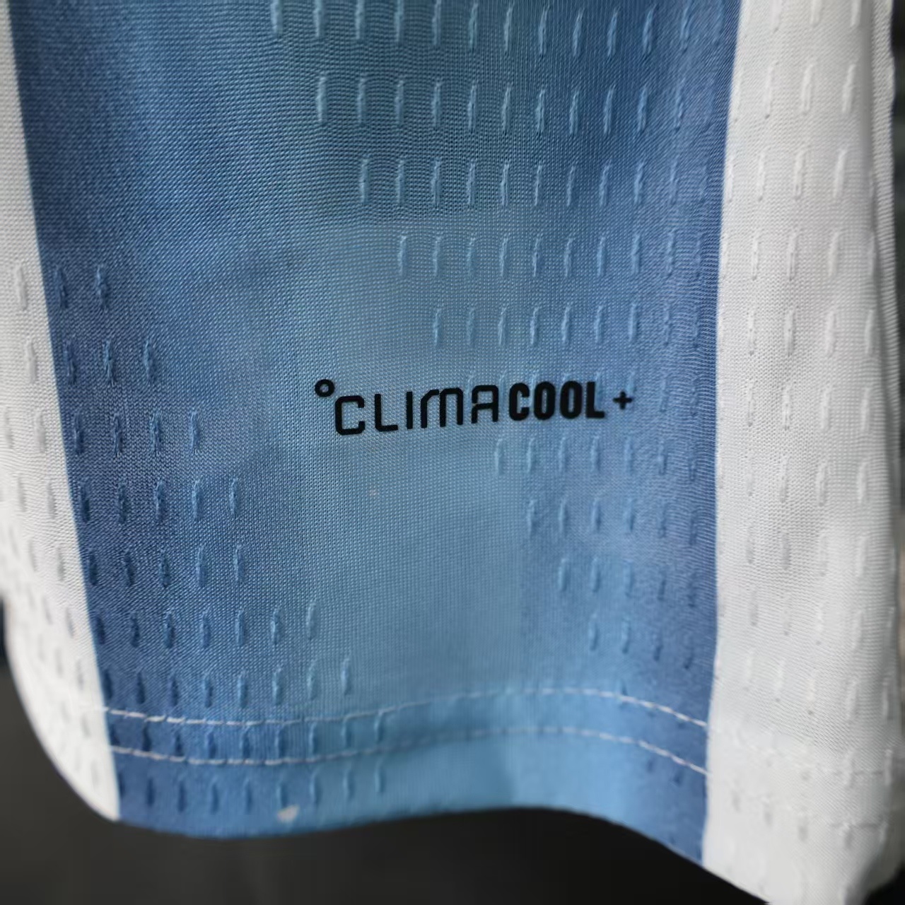 2026 World Cup Argentina Home Player Version Jersey - Image 10